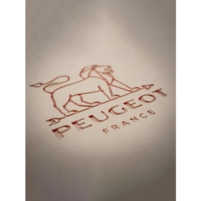 Peugeot Appolia schotel rechthoekig - rood