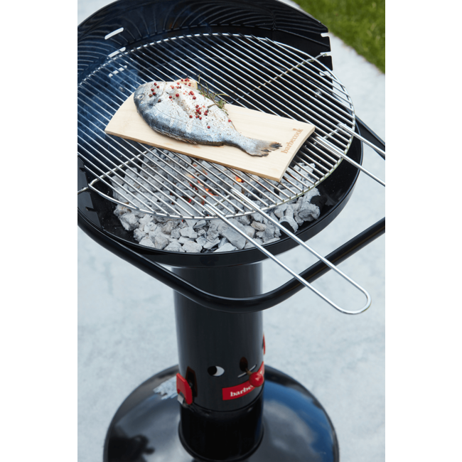 Barbecook houtskoolbbq Loewy 50