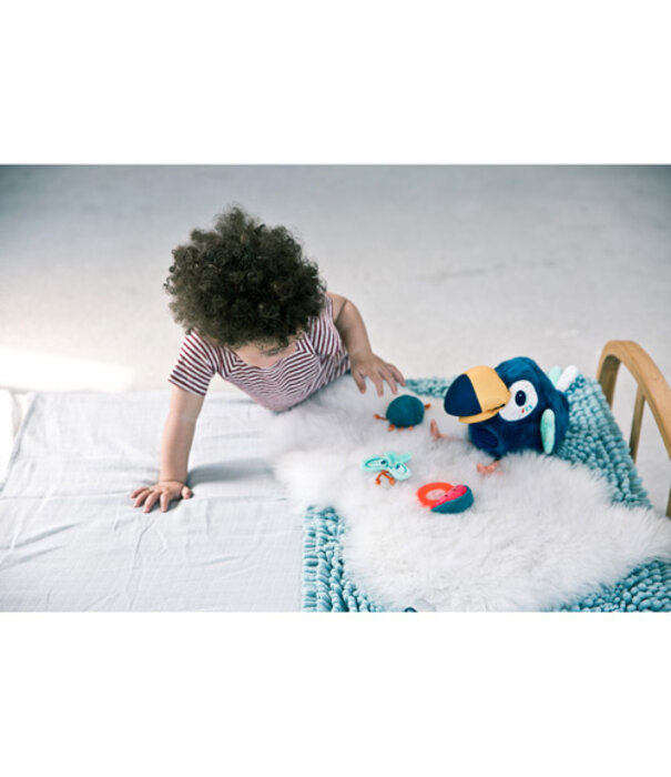 Lilliputiens Ik ontdek - Activiteitenknuffel Pablo