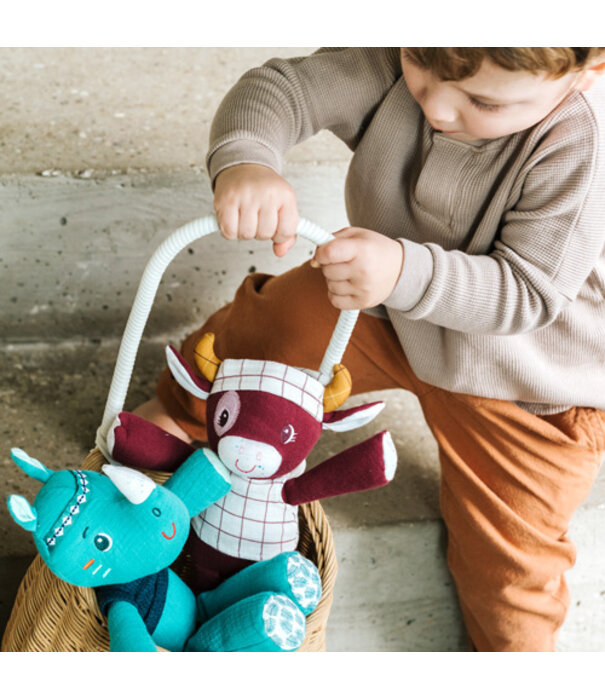 Lilliputiens Ik ontdek - Knuffel in doos Rosalie