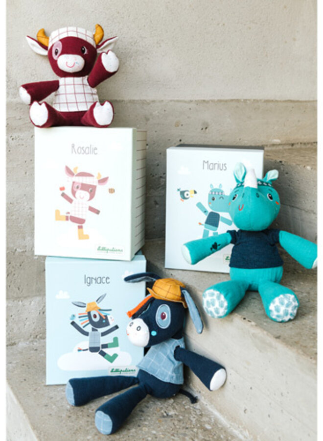 Ik ontdek - Knuffel in doos Ignace