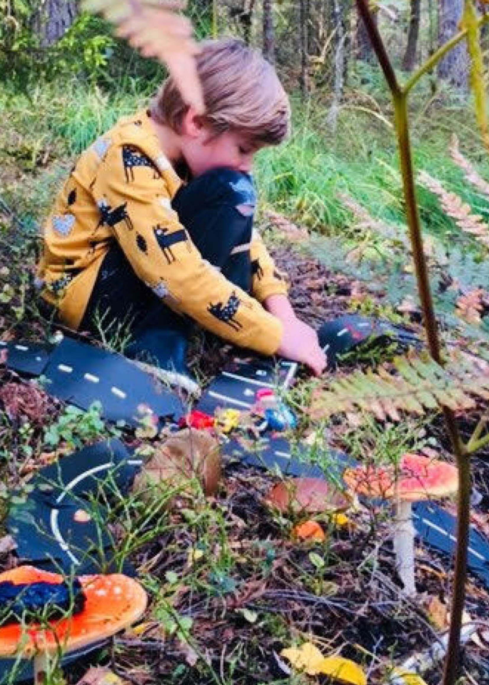 WaytoPlay Waytoplay - Ringroad - 12 parts