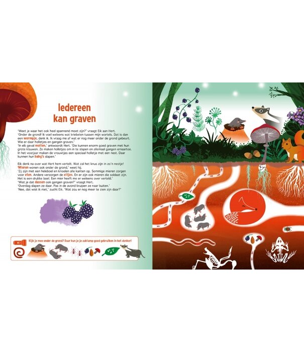 Zaklampboek - speuren in het bos