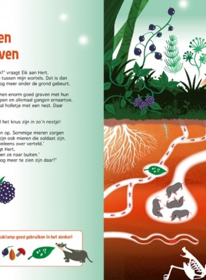 Zaklampboek - speuren in het bos