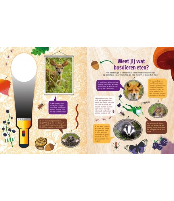 Zaklampboek - speuren in het bos