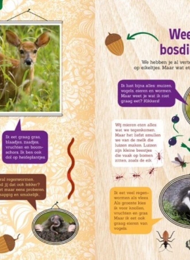 Zaklampboek - speuren in het bos