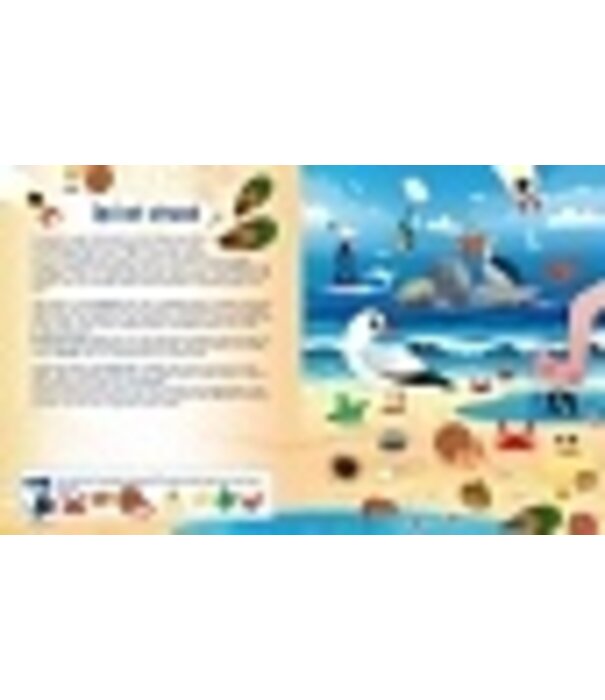 Zaklampboek - speuren in de dierenwereld