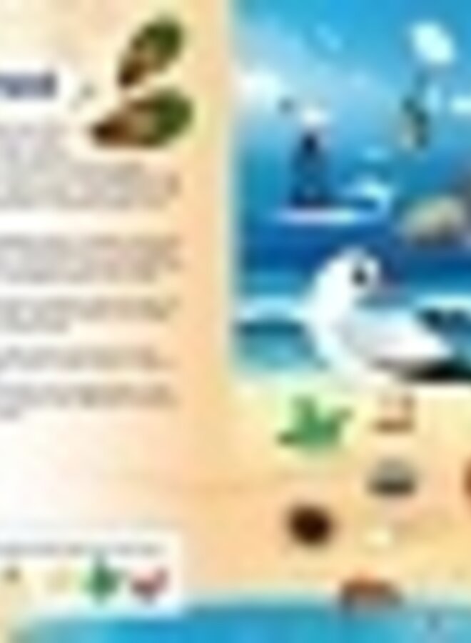 Zaklampboek - speuren in de dierenwereld