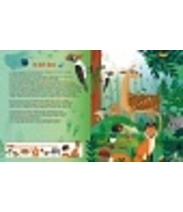 Zaklampboek - speuren in de dierenwereld