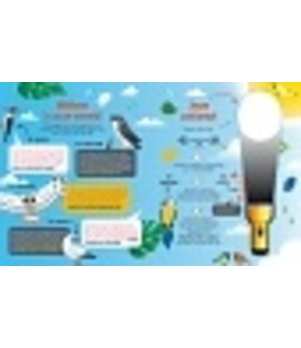 Zaklampboek - speuren in de dierenwereld