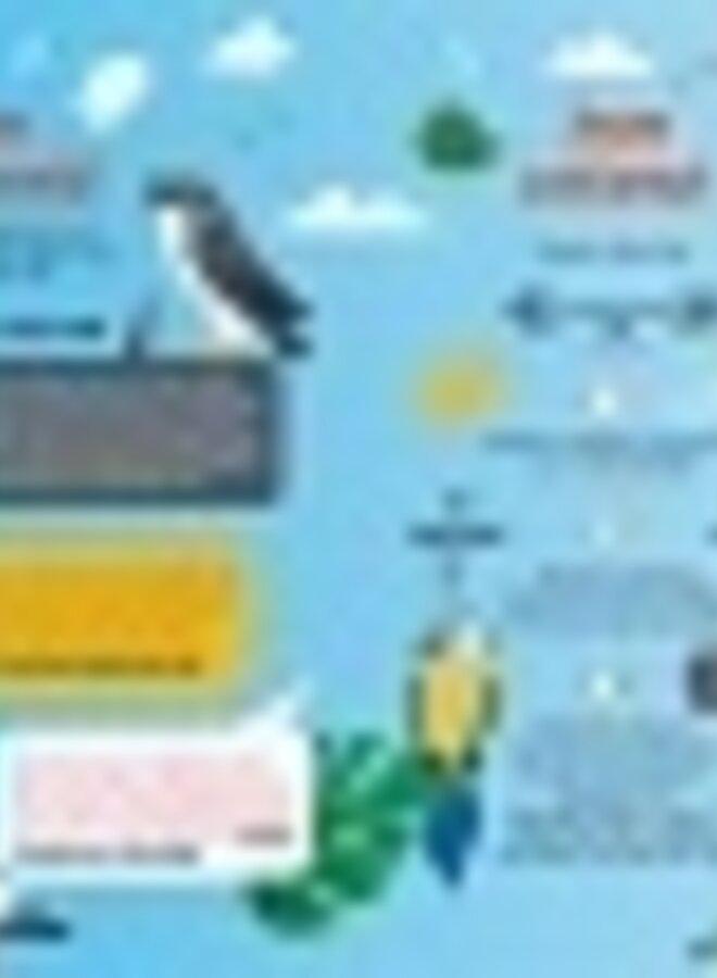 Zaklampboek - speuren in de dierenwereld