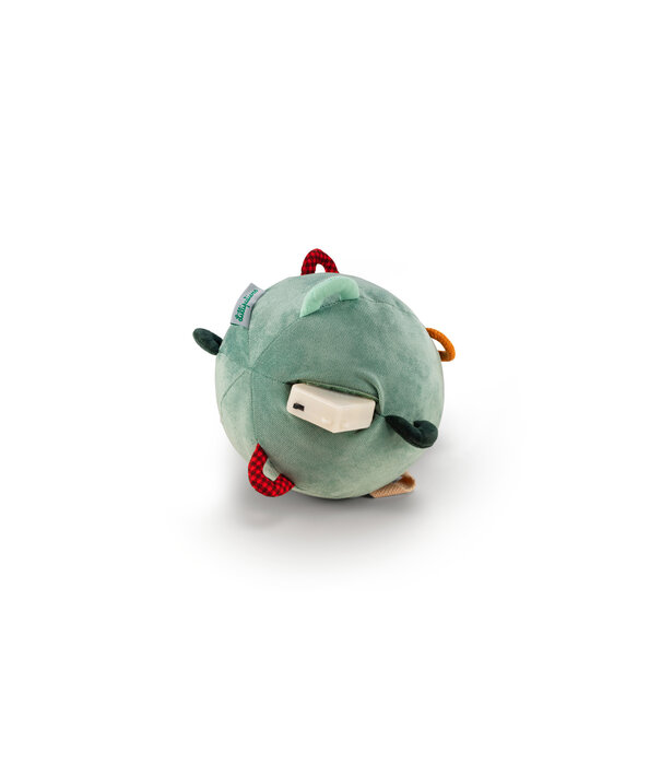 Lilliputiens Lilliputiens - Joe sensorische geluidsbal