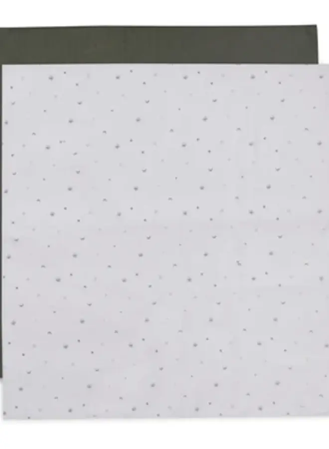 Jollein - Hyfrofiele Doek large 115x115cm Stargaze Leaf Green (2pack)