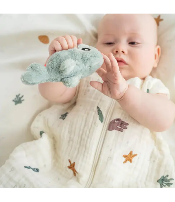 DonebyDeer Donebydeer - Kleine sensorische rammelaar Wally blauw