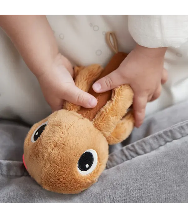 DonebyDeer Donebydeer -  Sensory rattle mirror Jelly