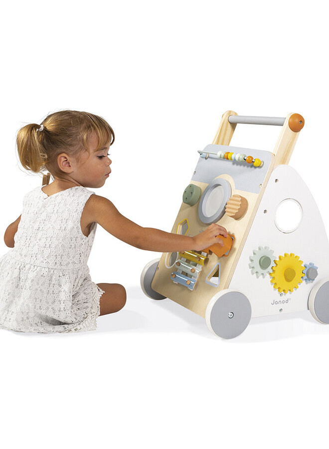 Janod Sweet Cocoon - Baby loopwagen