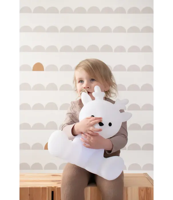 Flow Amsterdam Fabian Medium (light)