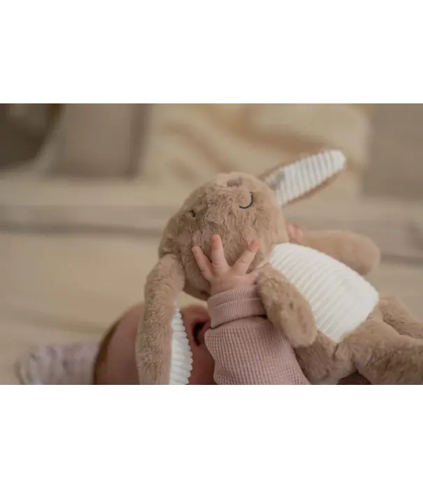 Flow Amsterdam Flow Amsterdam -  Milo (brown) - Heartbeat comforter