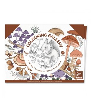 Djeco - Colouring Gallery - Naturalist
