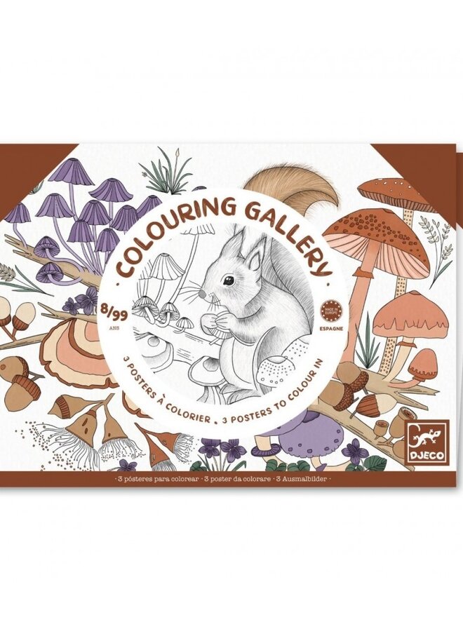 Djeco - Colouring Gallery - Naturalist