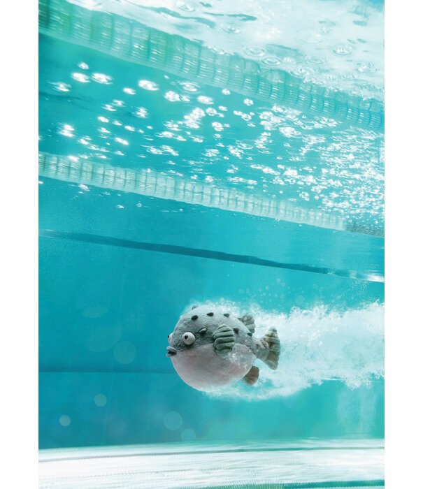 Jellycat Jellycat - Pacey pufferfish