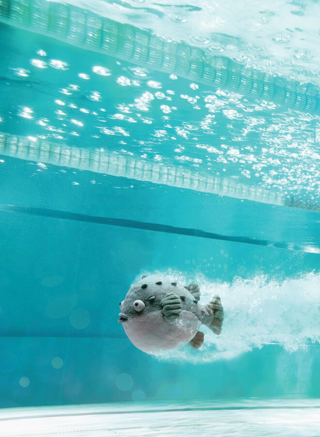 Jellycat - Pacey pufferfish