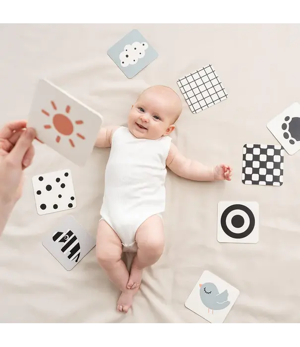 DonebyDeer Donebydeer - Baby contrast card 10-pack Deer friend