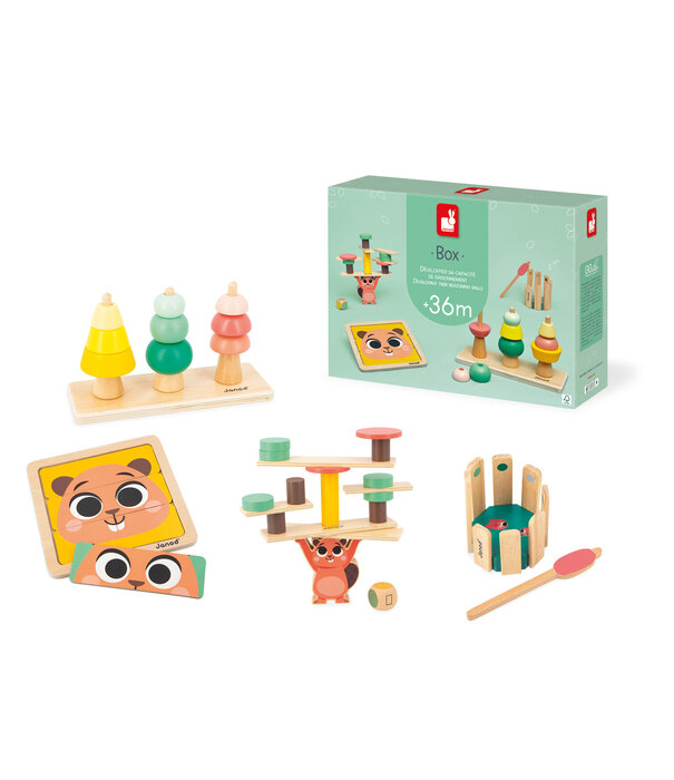 Janod Janod - Box 36 mnd ontwikkeling redeneervaardigheden