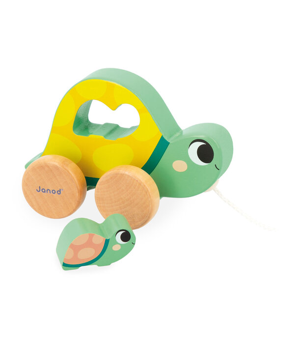 Janod Janod - Box 18 mnd motorische vaardigheden