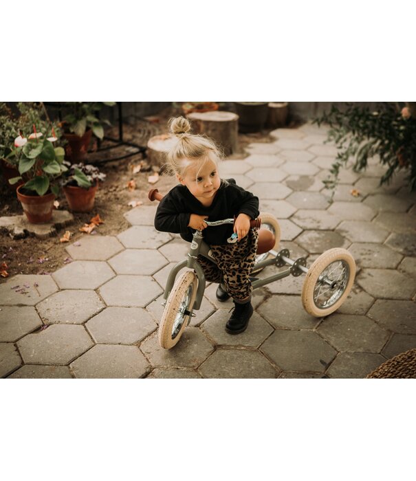 Trybike Trybike loopfiets 2 in 1 - Mat Groen