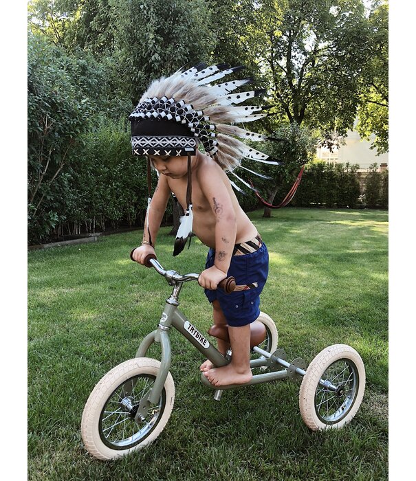 Trybike Trybike loopfiets 2 in 1 - Mat Groen