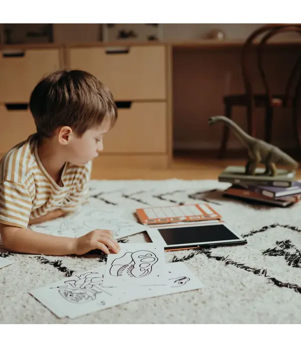 Kidywolf Kidywolf - Kidydraw - Dinosaurus