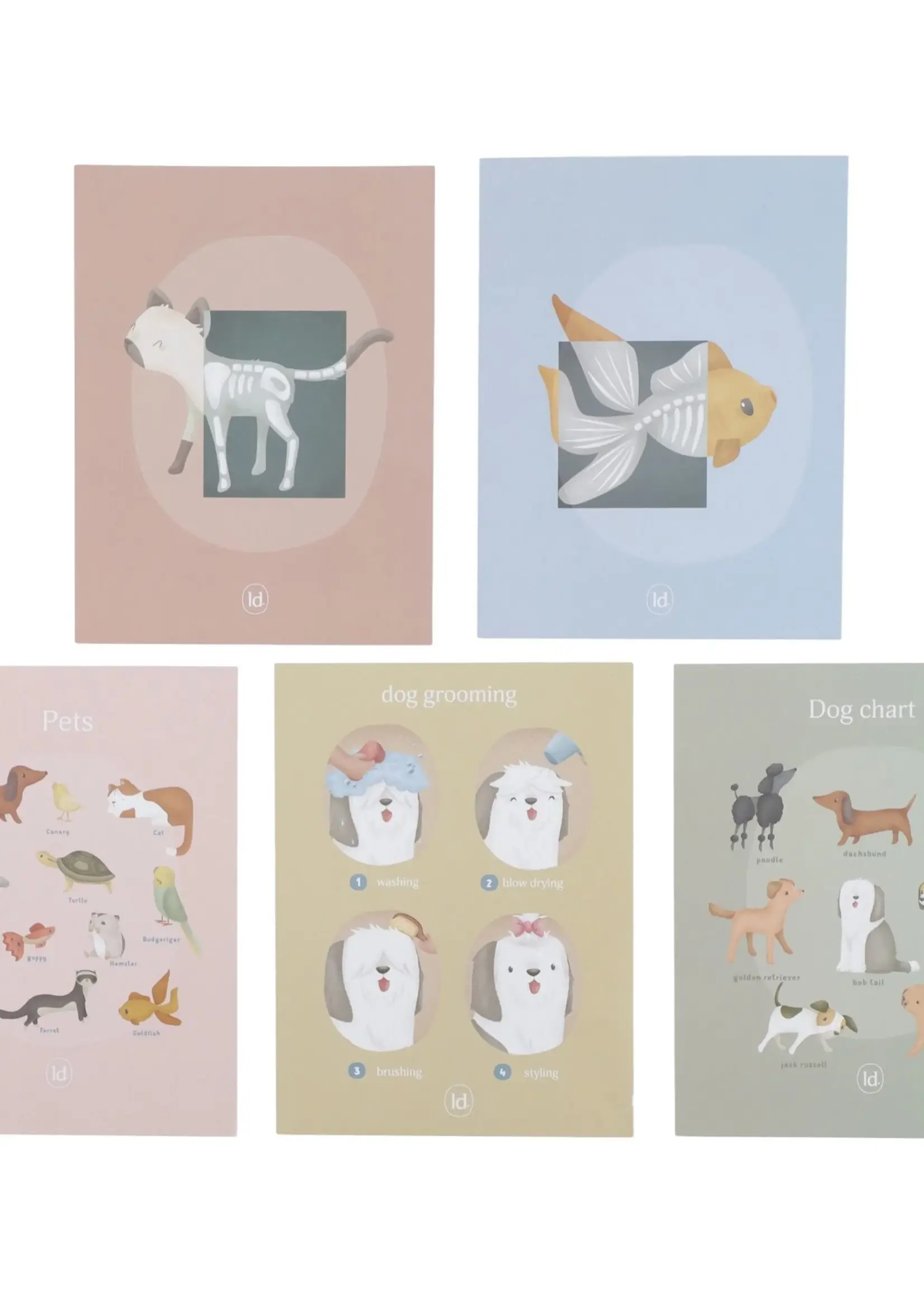 Little Dutch - Dierenartspraktijk