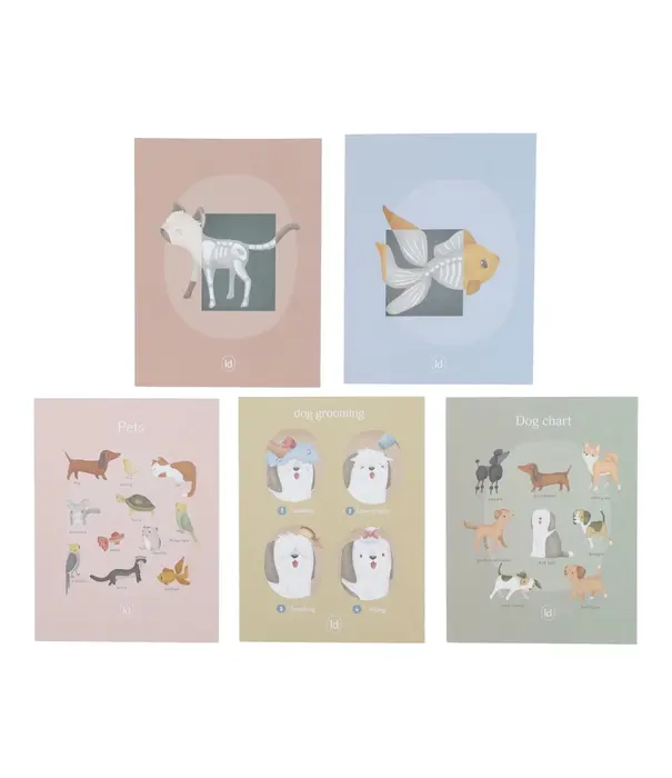Little Dutch Little Dutch - Dierenartspraktijk