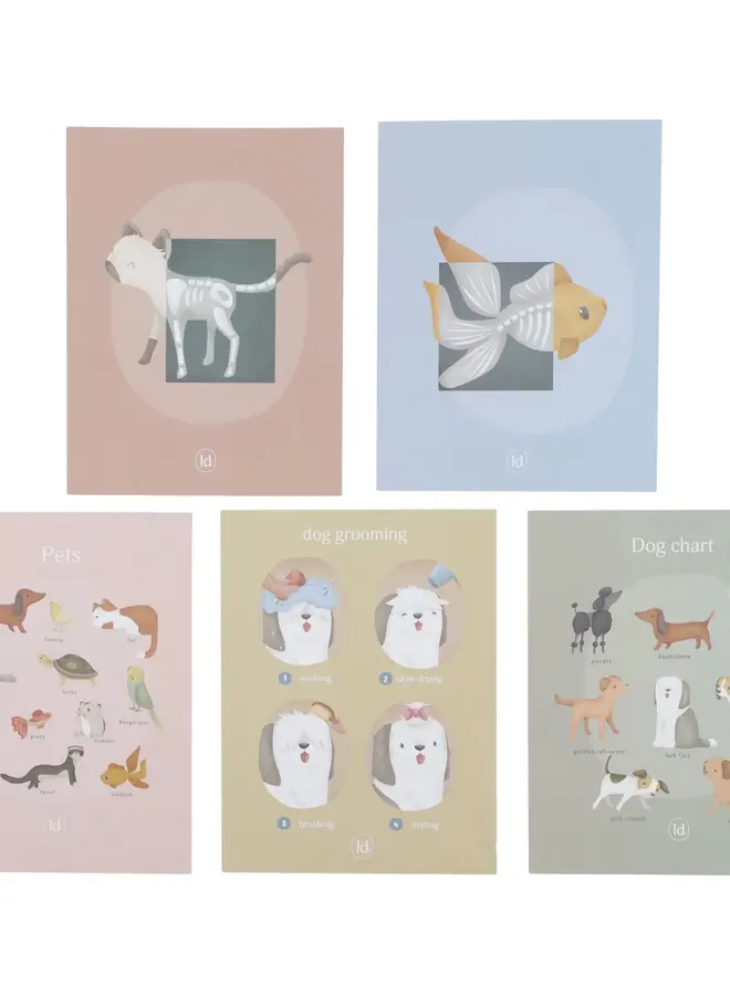 Little Dutch - Dierenartspraktijk