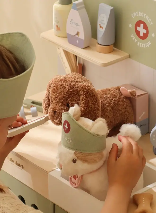 Little Dutch - Dierenartspraktijk