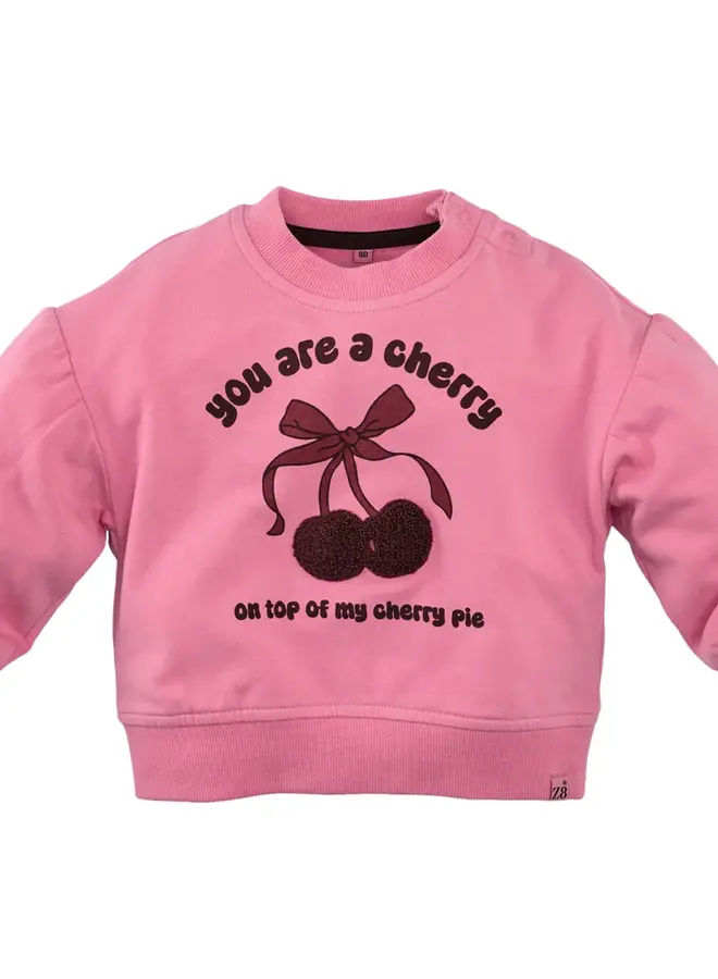 Z8 W25 Mini - Lichelle