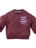 Z8 Z8 W25 Mini - Lizelot