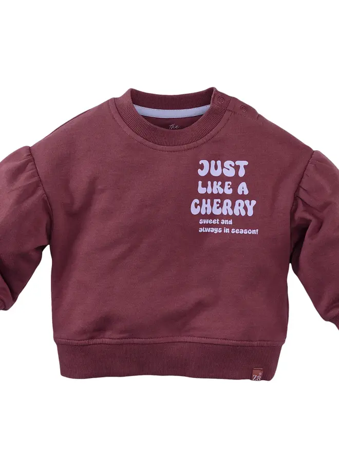 Z8 W25 Mini - Lizelot