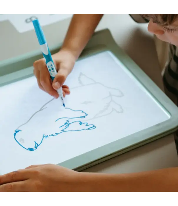 Kidywolf Kidywolf - tweezijdig tekentablet Kidydraw-pro