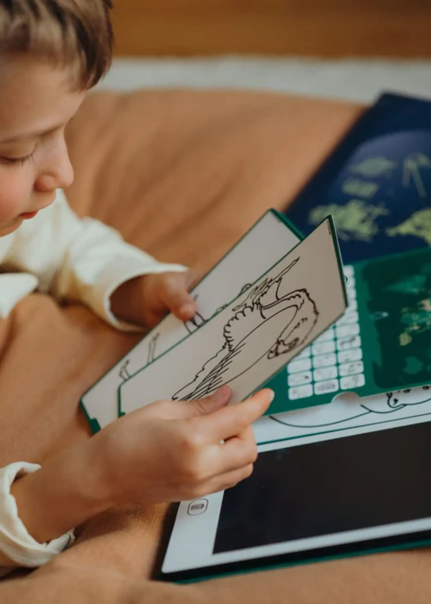 Kidywolf Kidywolf - Kidydraw - Galaxy