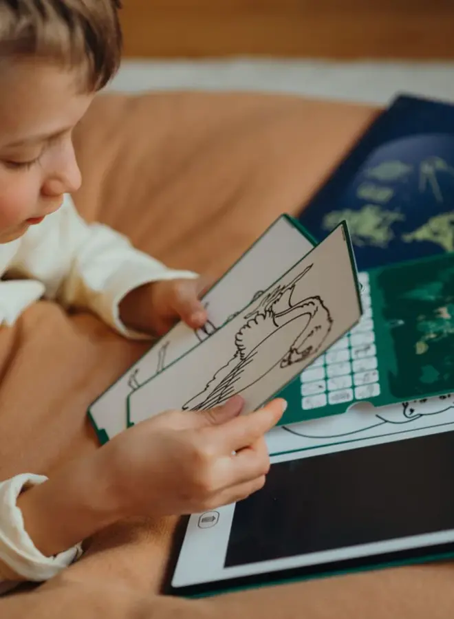 Kidywolf - Kidydraw - Galaxy