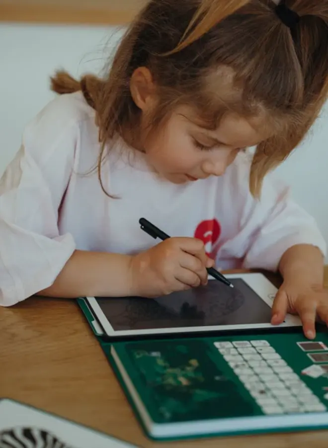 Kidywolf - Kidydraw - Animals around the world