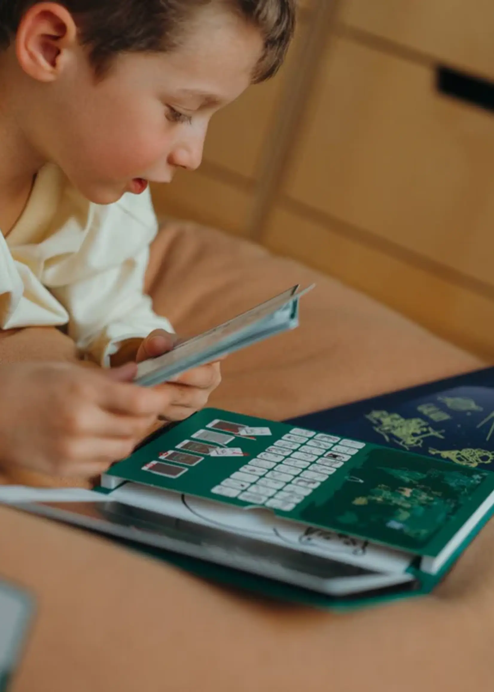 Kidywolf Kidywolf - Kidydraw - Animals around the world