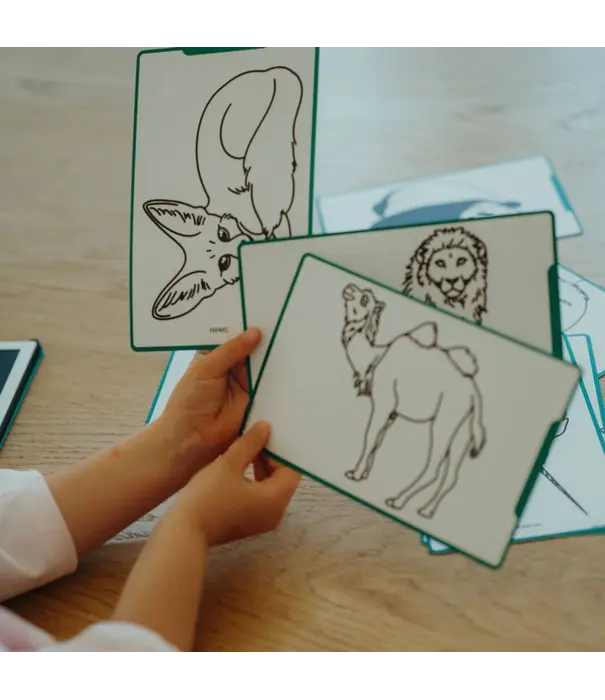 Kidywolf Kidywolf - Kidydraw - Animals around the world