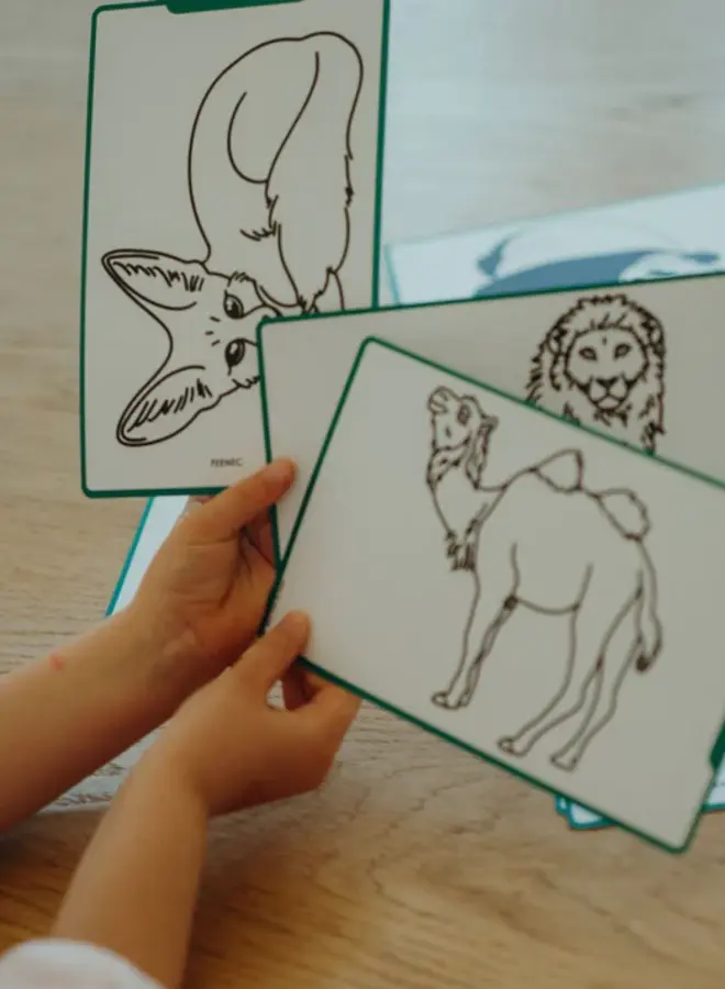 Kidywolf - Kidydraw - Animals around the world