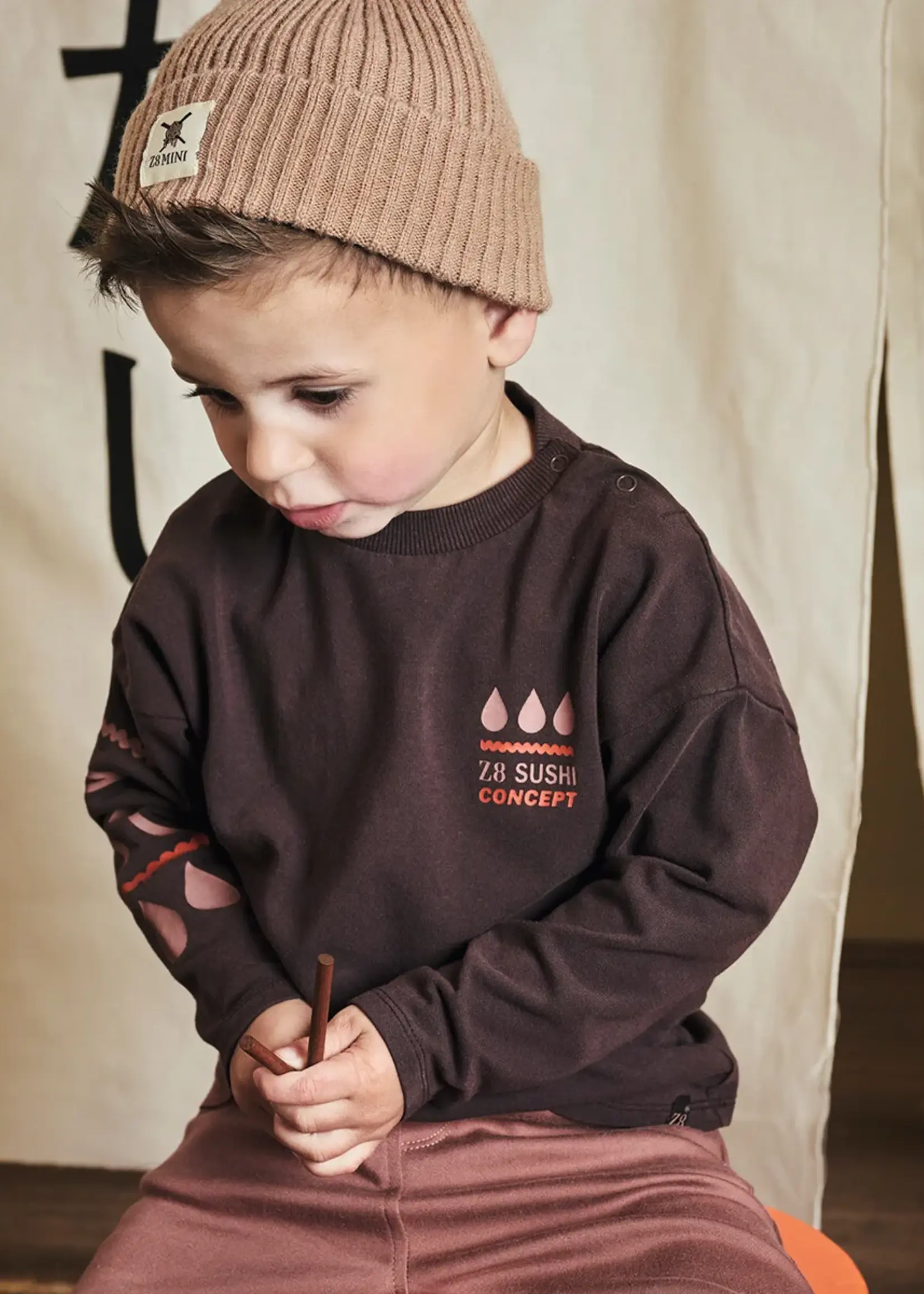 Z8 Z8 W25 Mini - Raoul