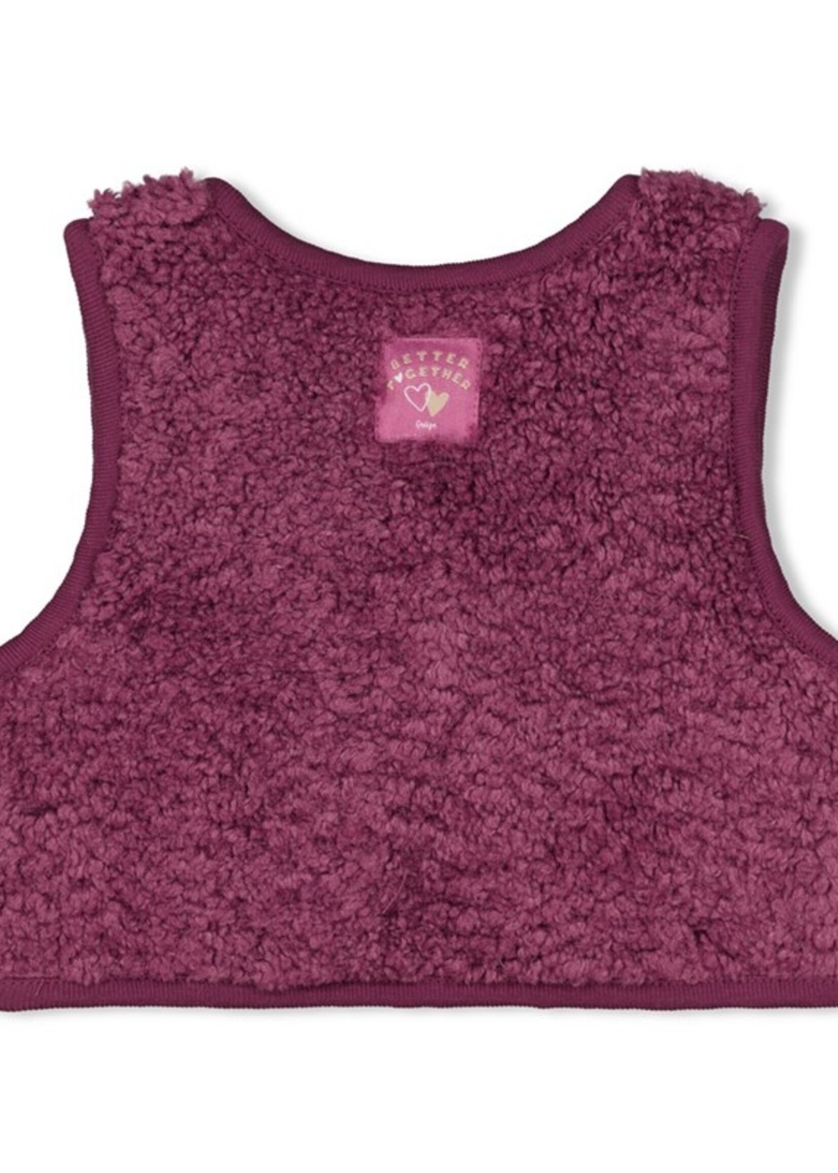 Feetje Feetje W25 - Better Together - Teddy gilet
