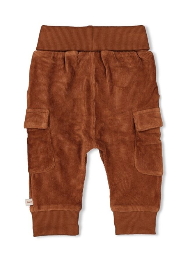 Feetje W25 - Wild World - Broek rib bruin