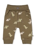 Feetje Feetje W25 - Rawrsome - Broek AOP - Olijf